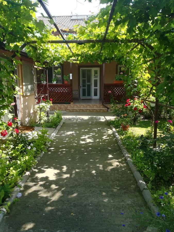 Готель Casa Badea Муругіль Екстер'єр фото