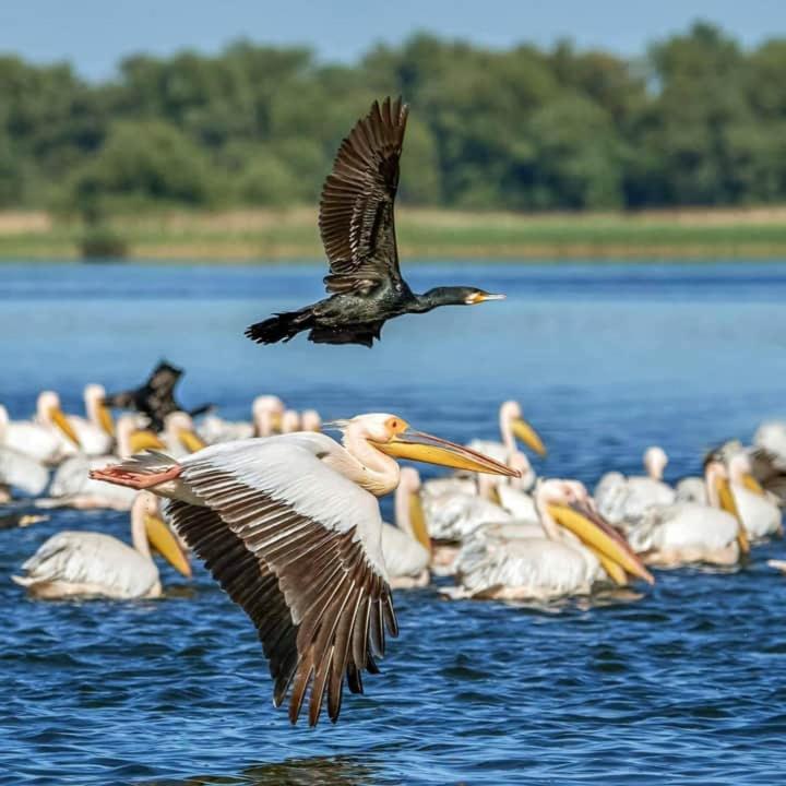 Готель Casa Badea Муругіль Екстер'єр фото